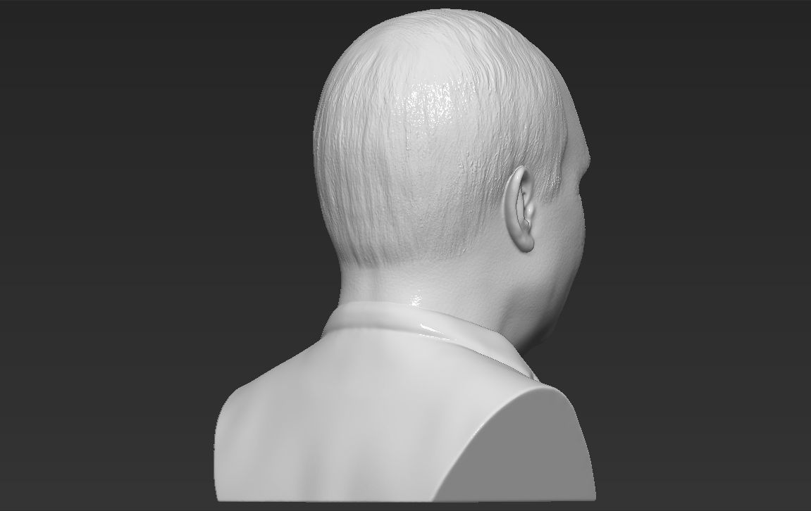 John McCain bust 3D printing ready stl obj formats 3D print model_12