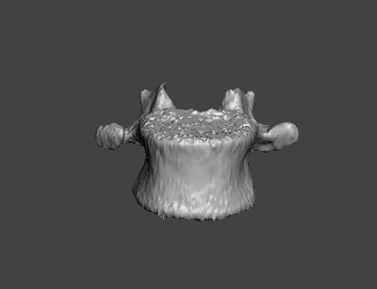 Lumbar Vertebra   L1   - male  3D model_2