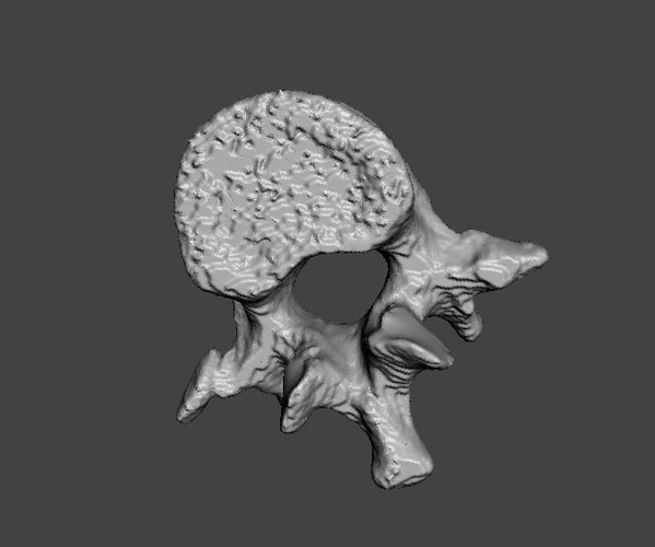Lumbar Vertebra   L1   - male  3D model