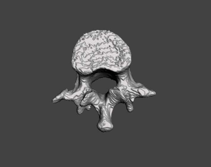 Lumbar Vertebra   L1   - male  3D model_7