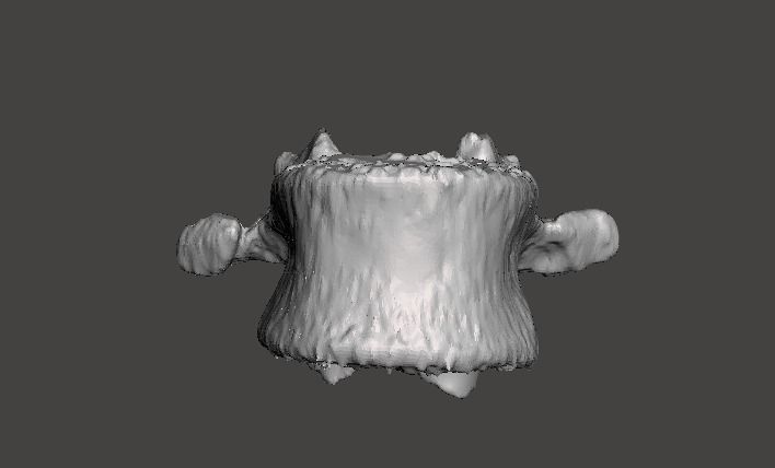 Lumbar Vertebra   L1   - male  3D model_10