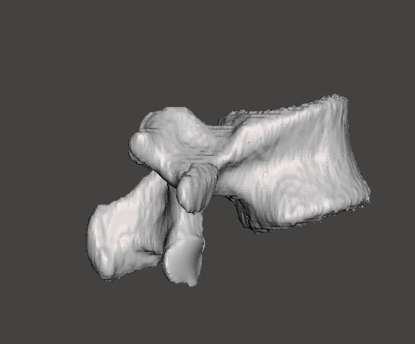 Lumbar Vertebra   L1   - male  3D model_8