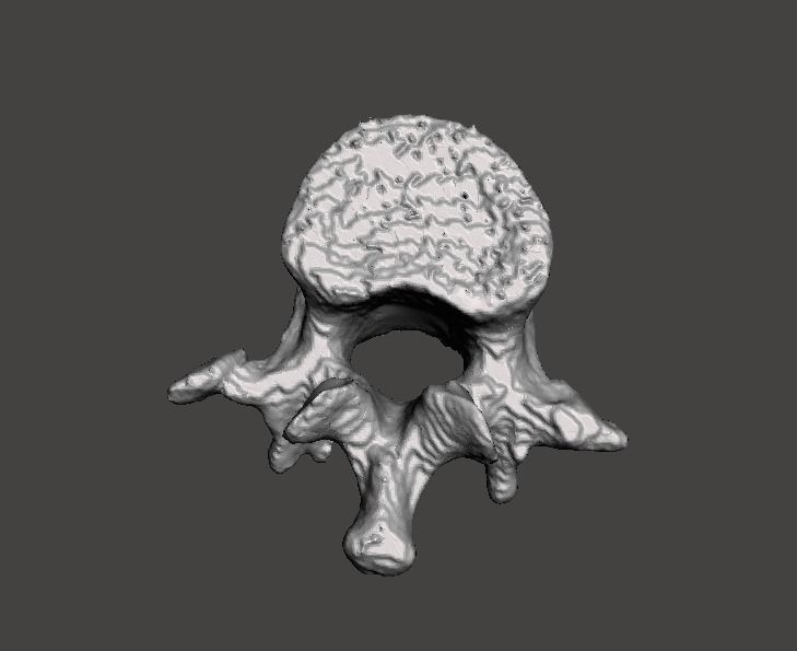 Lumbar Vertebra   L1   - male  3D model_3