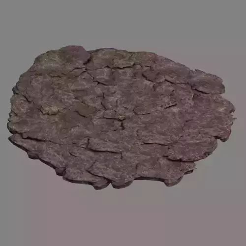 Meteorite Purgatory-Terrain