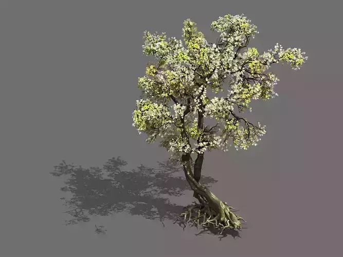 Outside Changan City-Xinghua 06 3D model