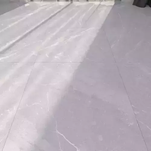 Marble Floor Museum Mainstone Dolphin 60x60