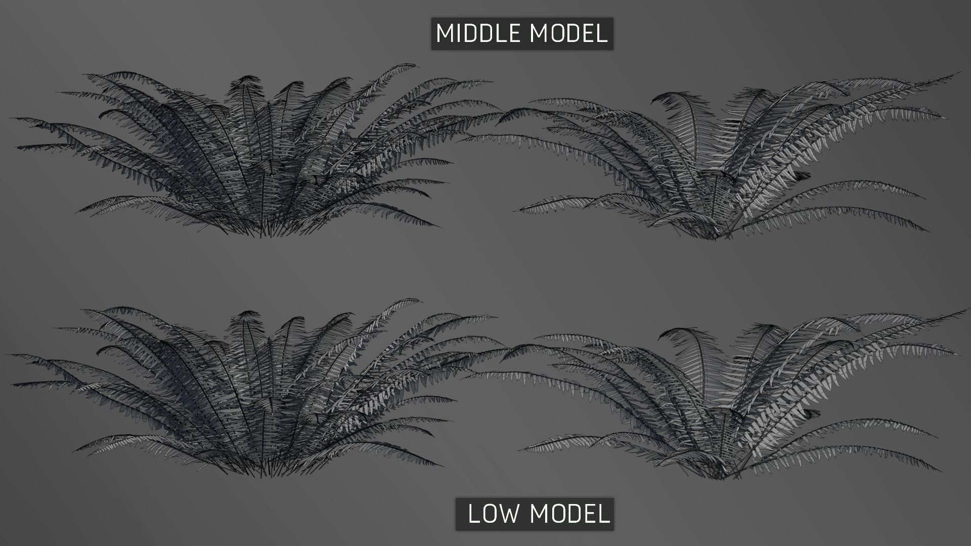3D Ferns Collection in forest 3D model_6