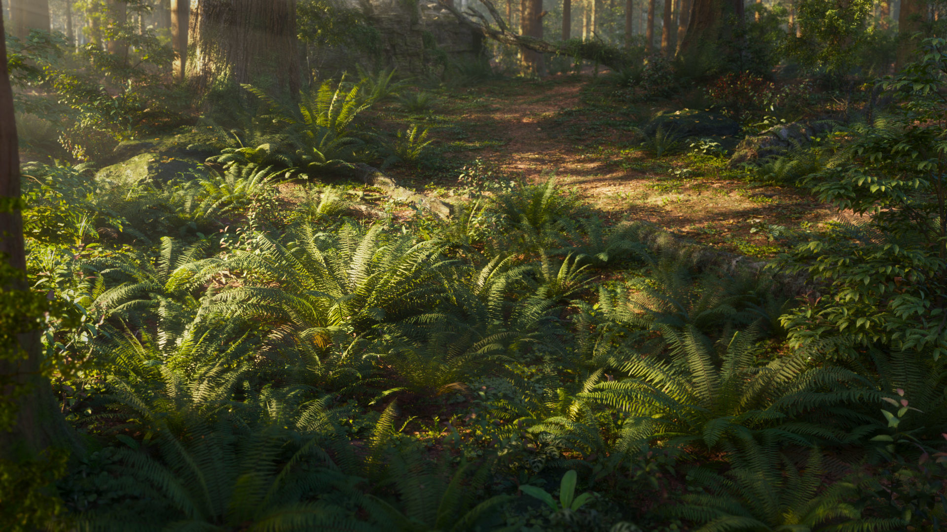 3D Ferns Collection in forest 3D model_1