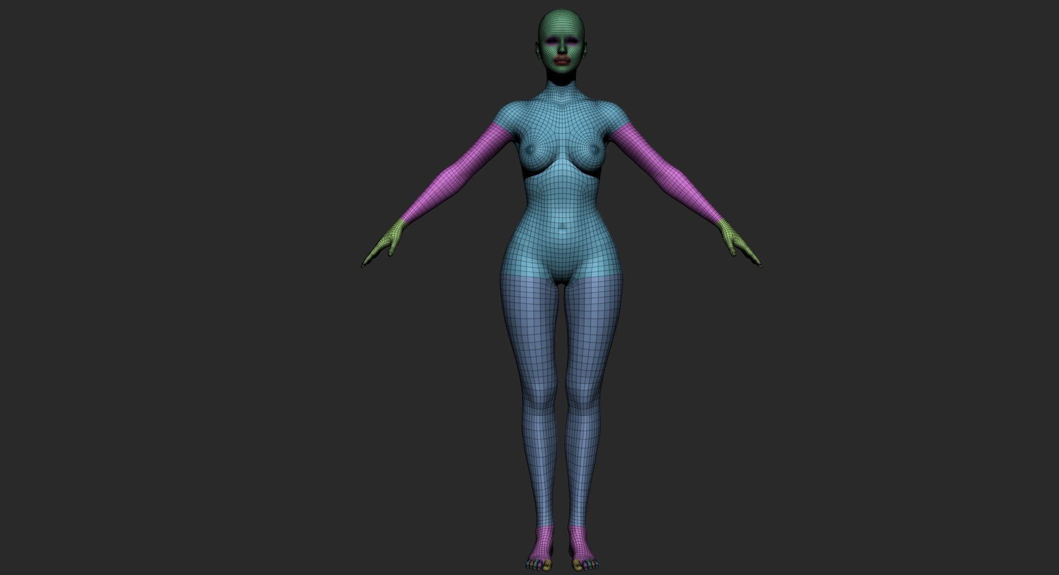 Woman - Perfect Female Body Basemesh 3D model_21