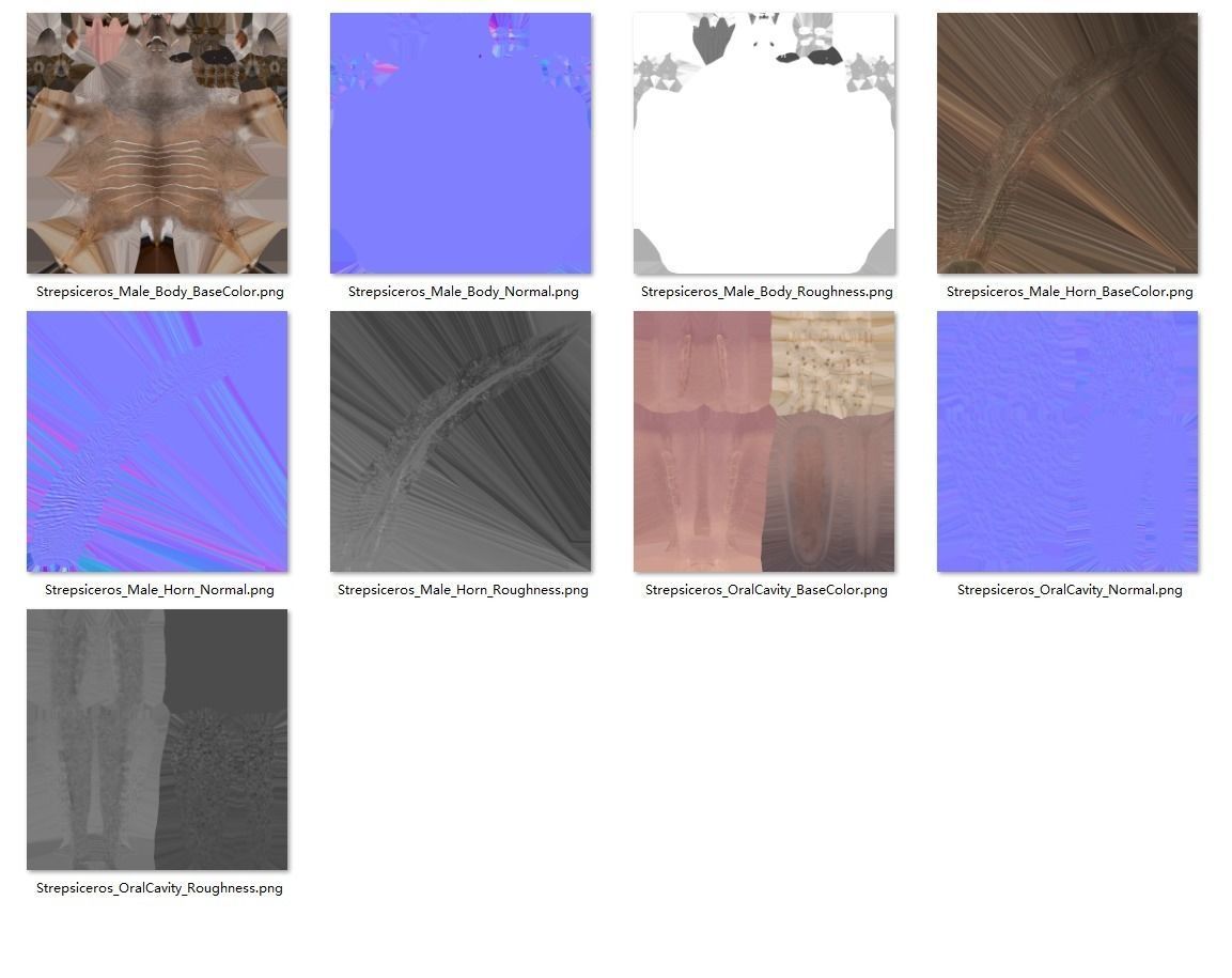 Greater Kudu Male Animated 3D model_27