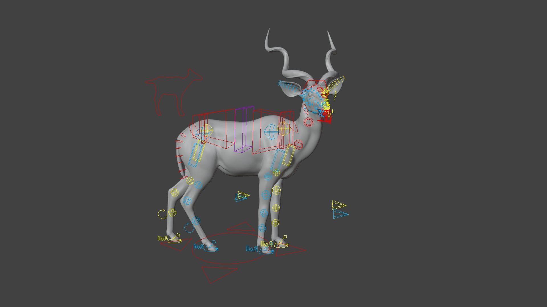 Greater Kudu Male Animated 3D model_19