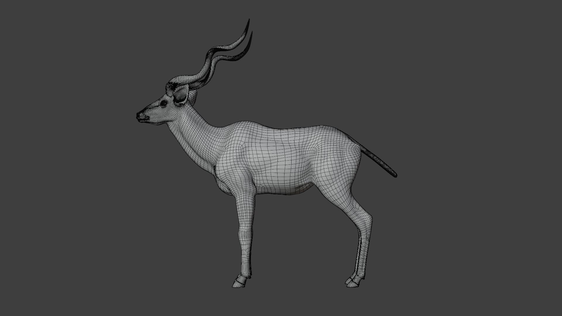 Greater Kudu Male Animated 3D model_20