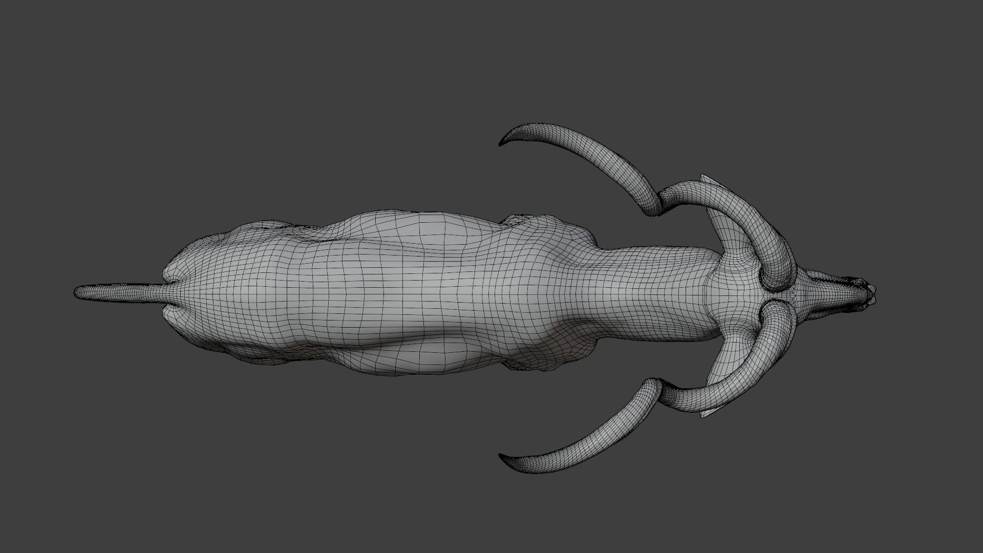 Greater Kudu Male Animated 3D model_23