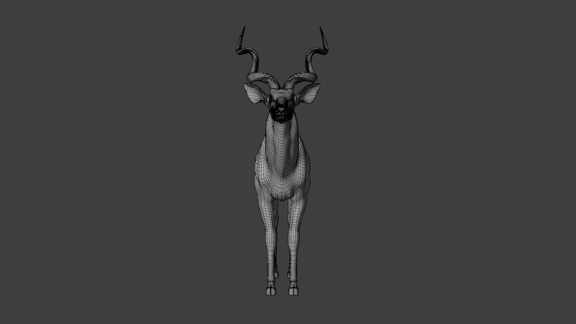 Greater Kudu Male Animated 3D model_21
