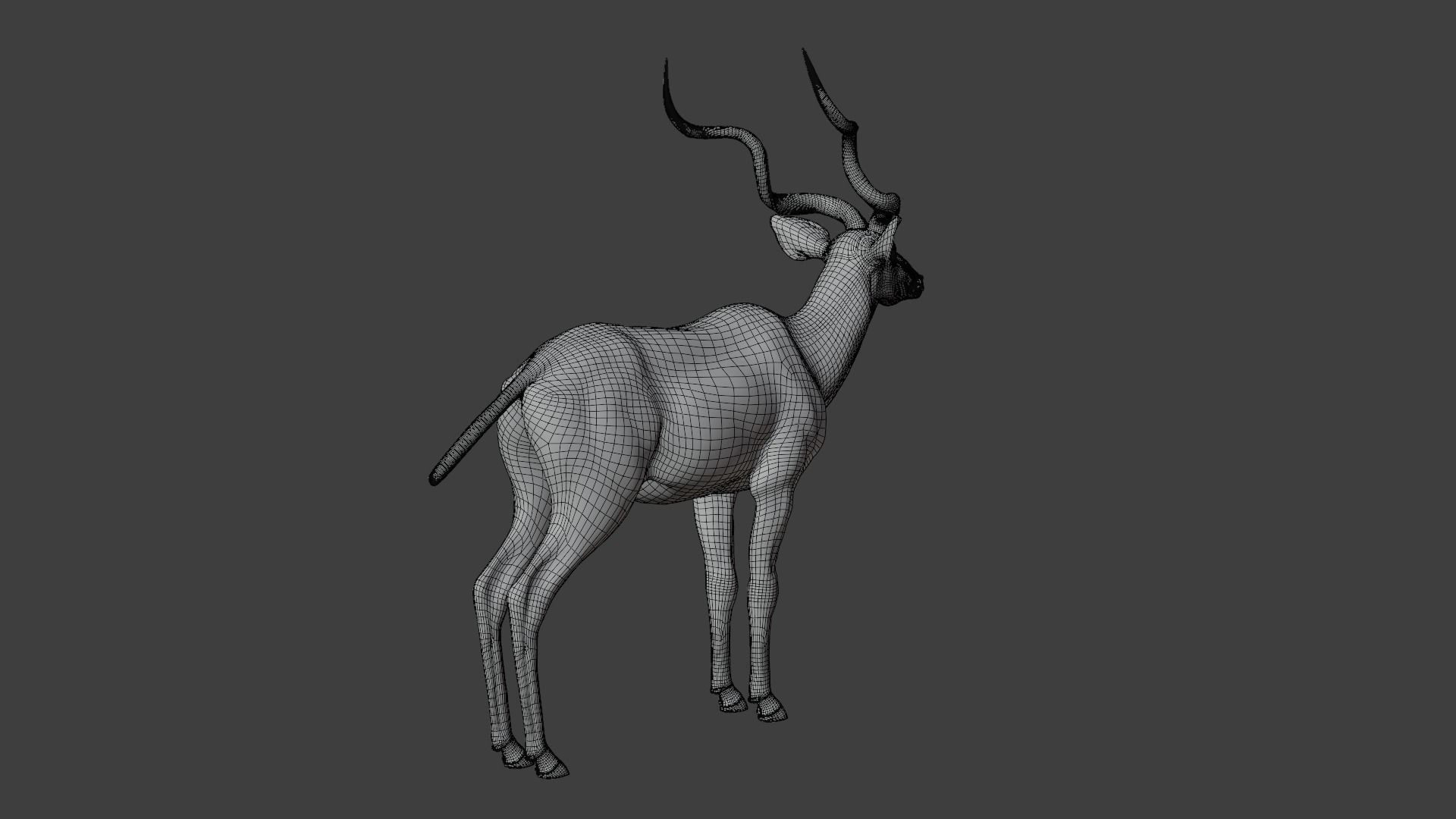 Greater Kudu Male Animated 3D model_25