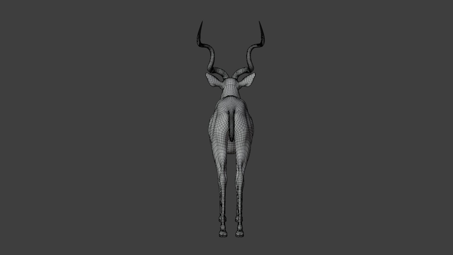 Greater Kudu Male Animated 3D model_22