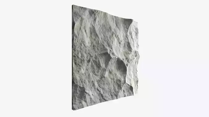 438-RockPanel piece of rock