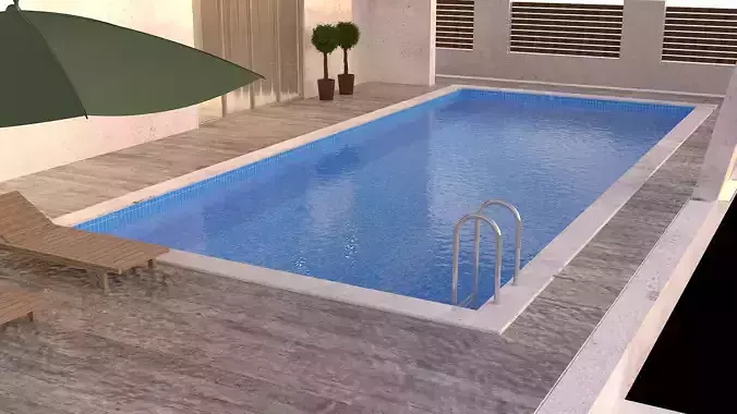 Pool and pool ladder 