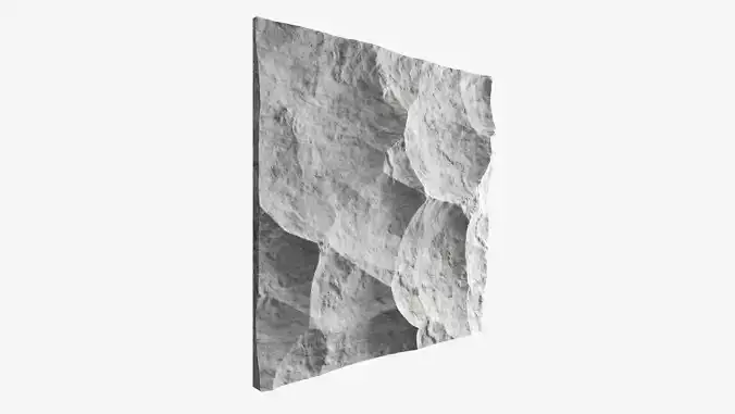 458-RockPanel piece of rock on wall