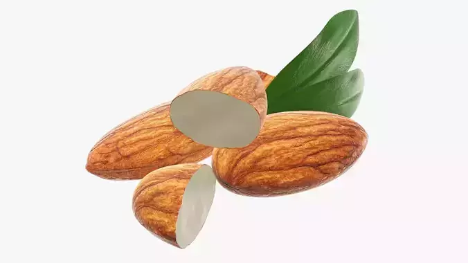 Nuts almond 02 3D model
