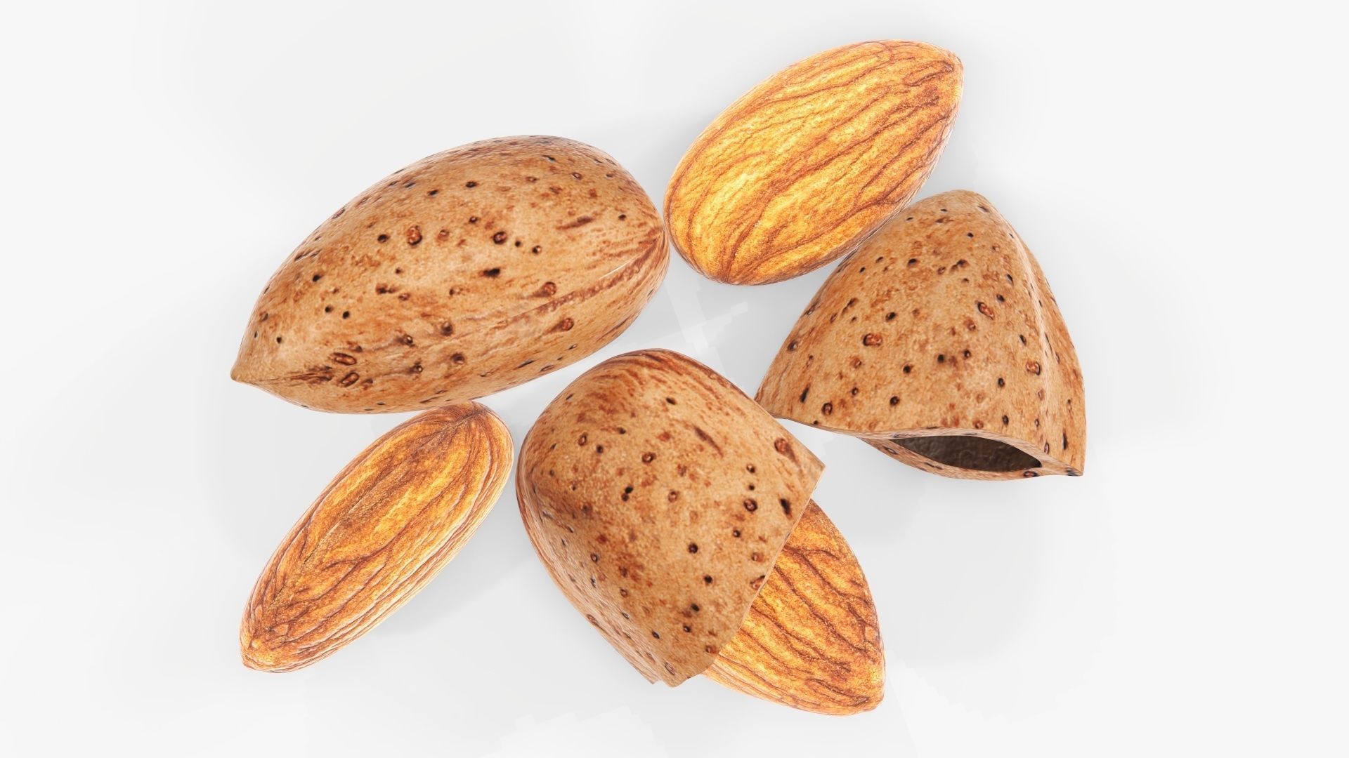 Nuts almond 03 3D model_4