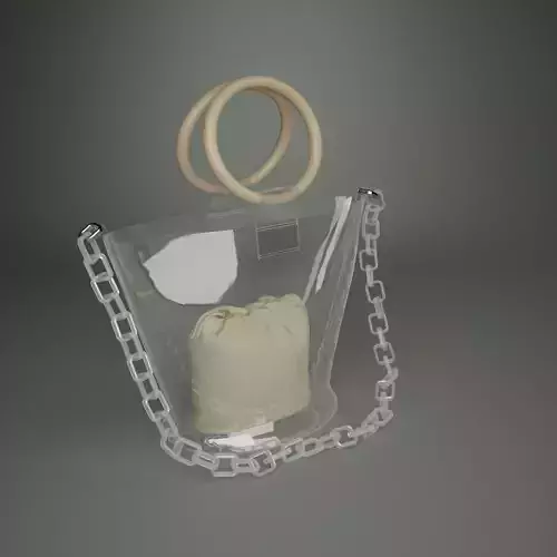 Transparent Bag Purse