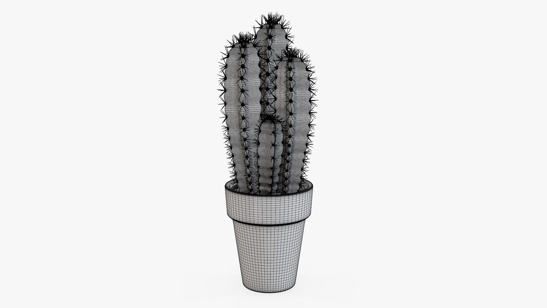 Cactus in planter pot 01 3D model_5