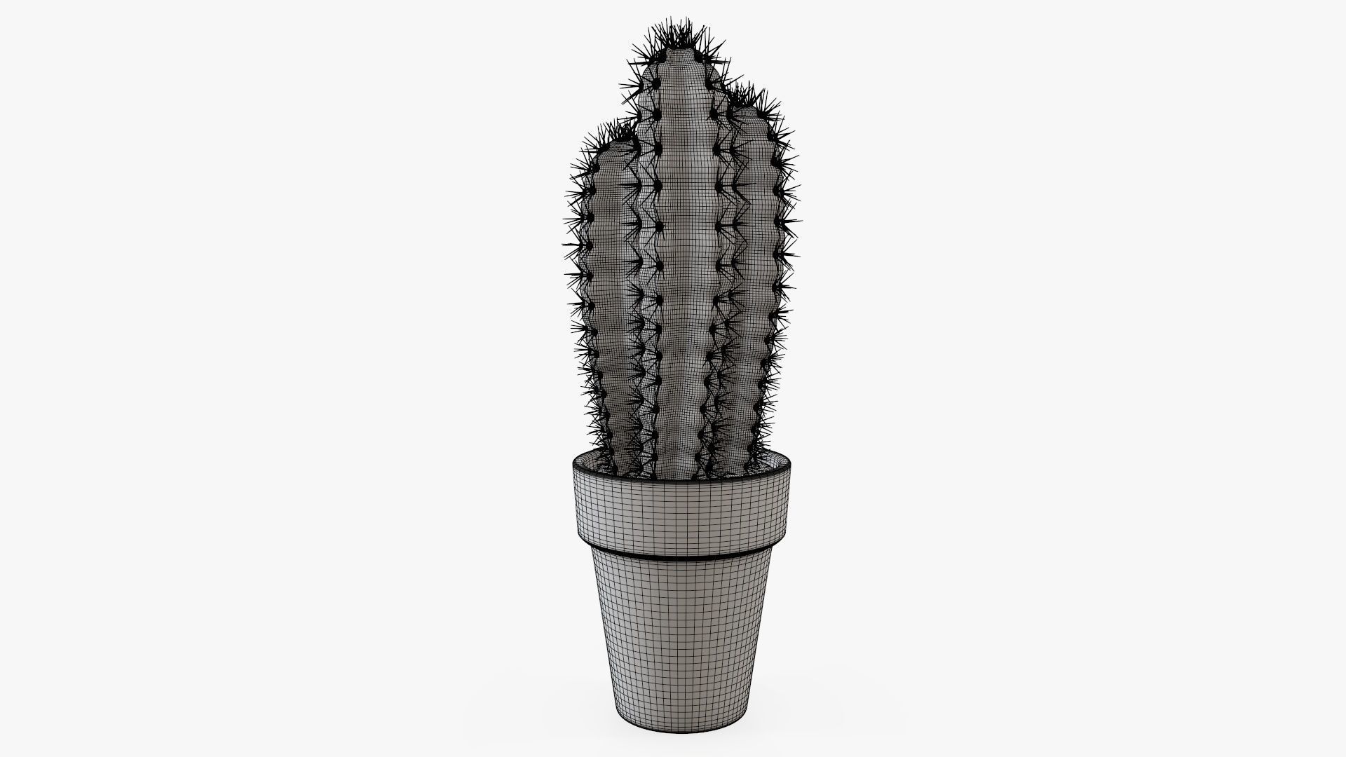 Cactus in planter pot 01 3D model_7