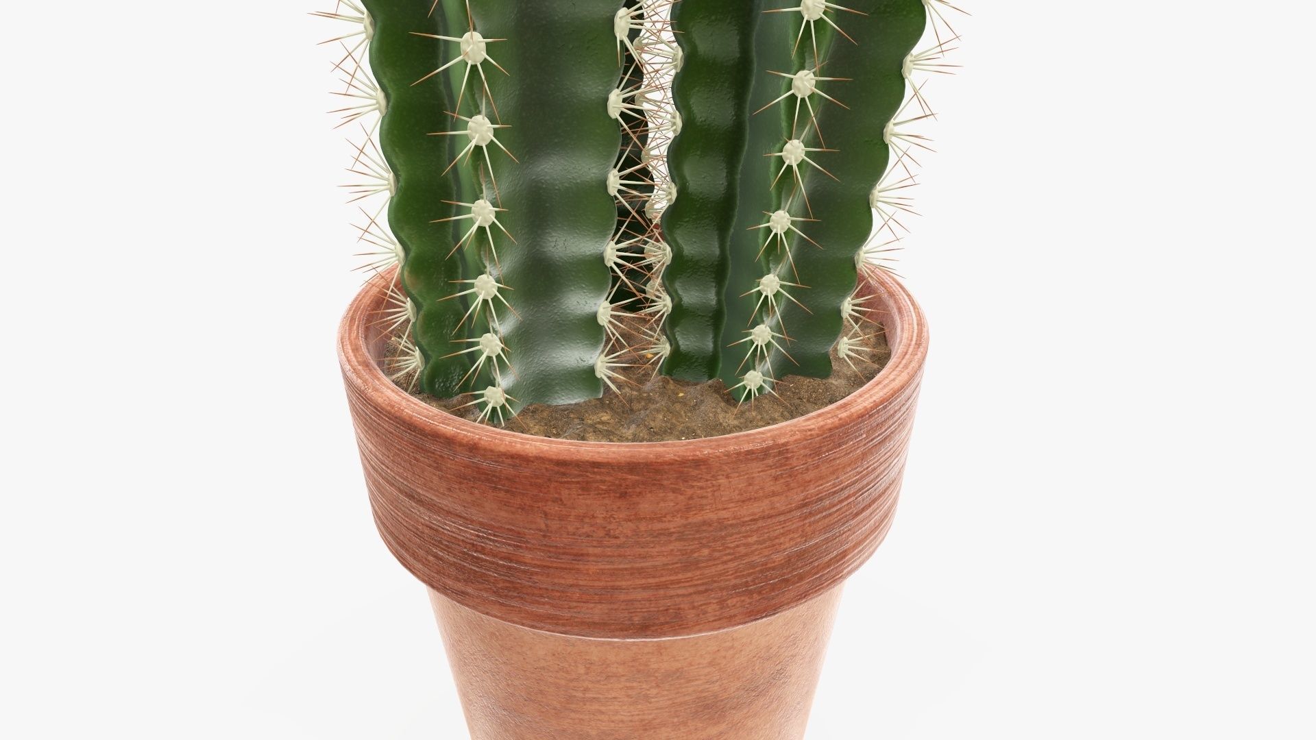 Cactus in planter pot 01 3D model_3