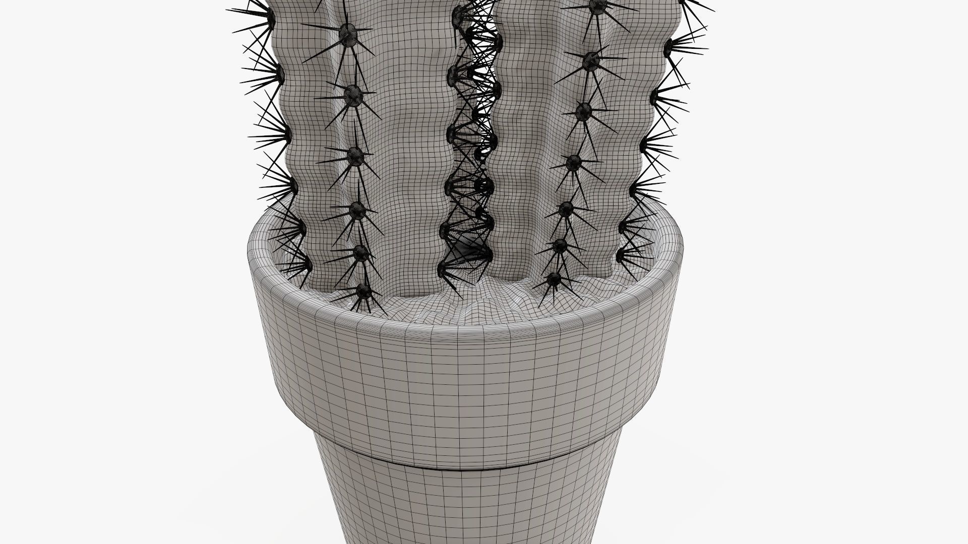 Cactus in planter pot 01 3D model_8