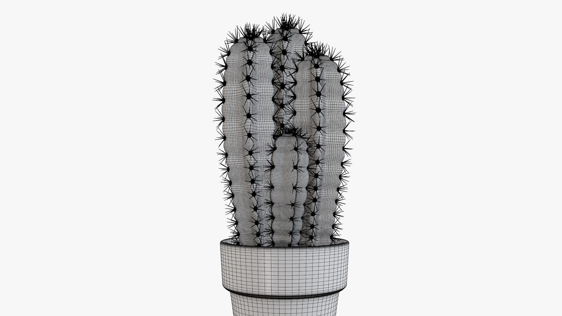 Cactus in planter pot 01 3D model_6