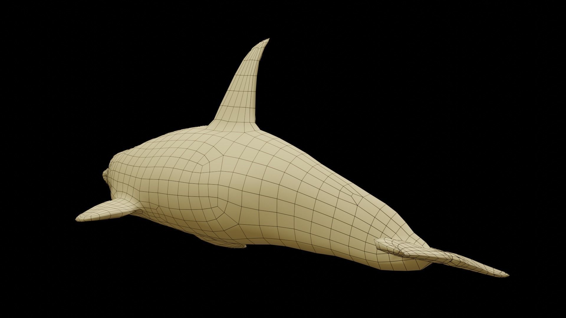 Killer whale Low-poly 3D model_15