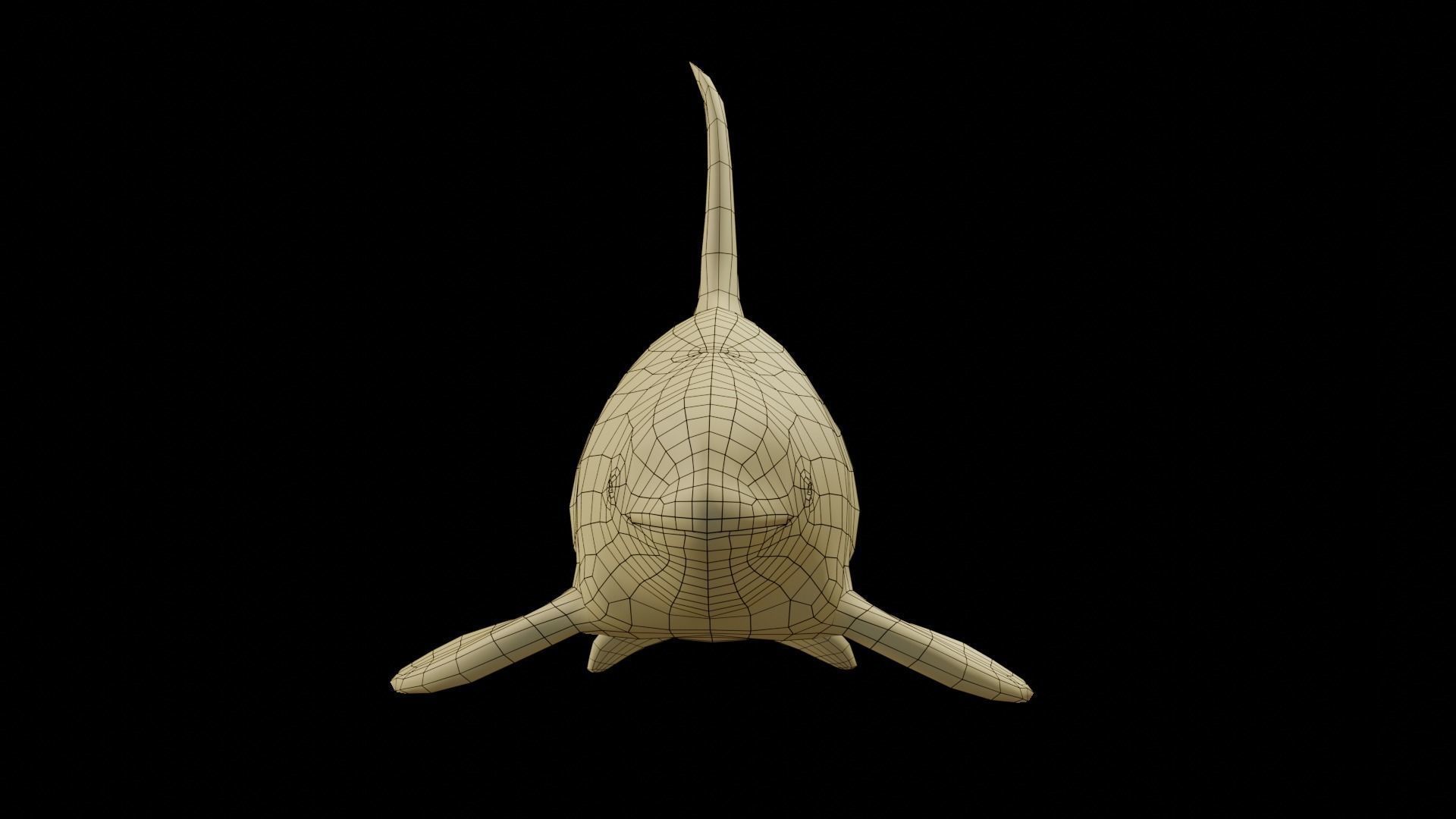 Killer whale Low-poly 3D model_16