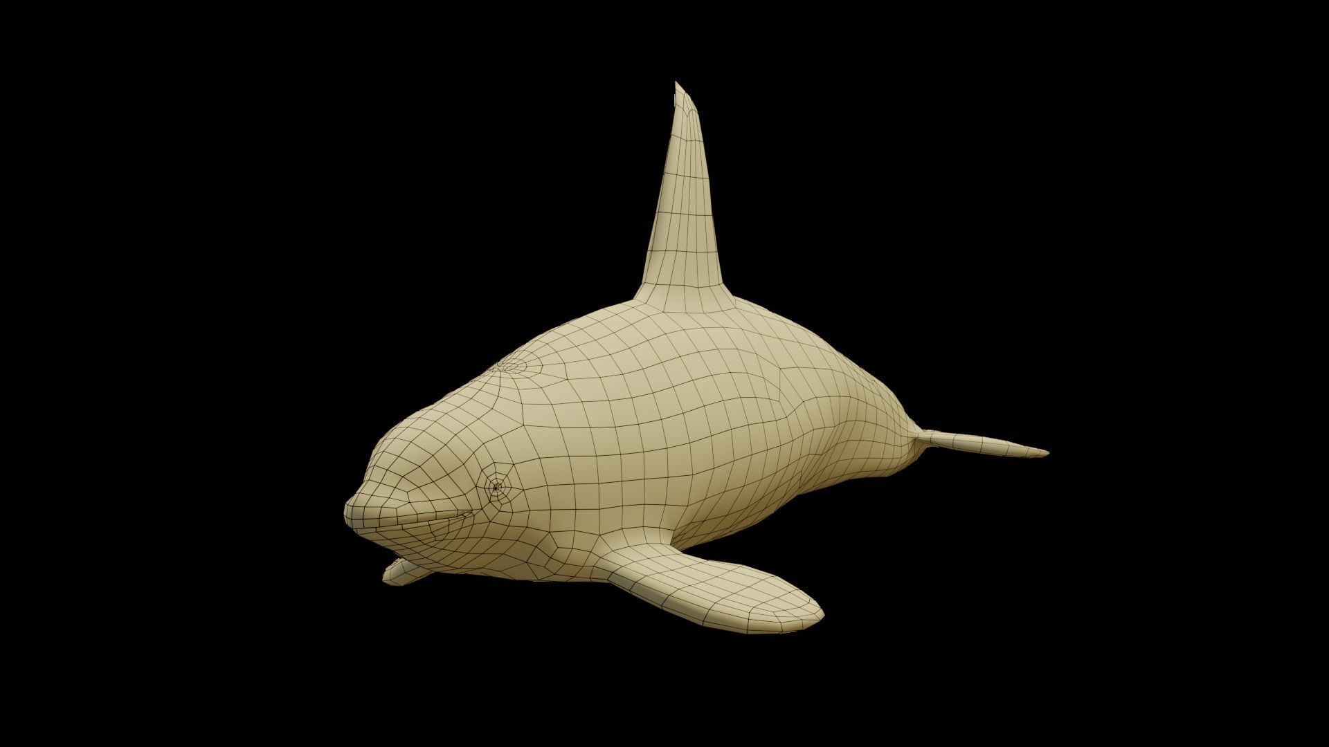 Killer whale Low-poly 3D model_12