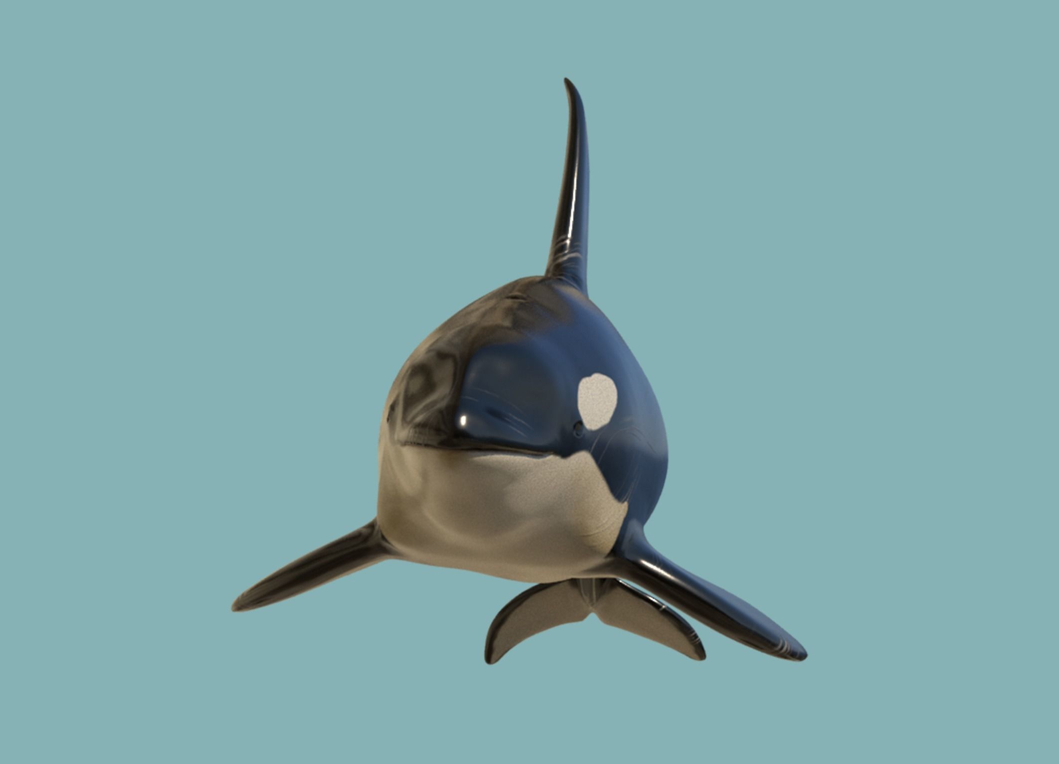 Killer whale Low-poly 3D model_4