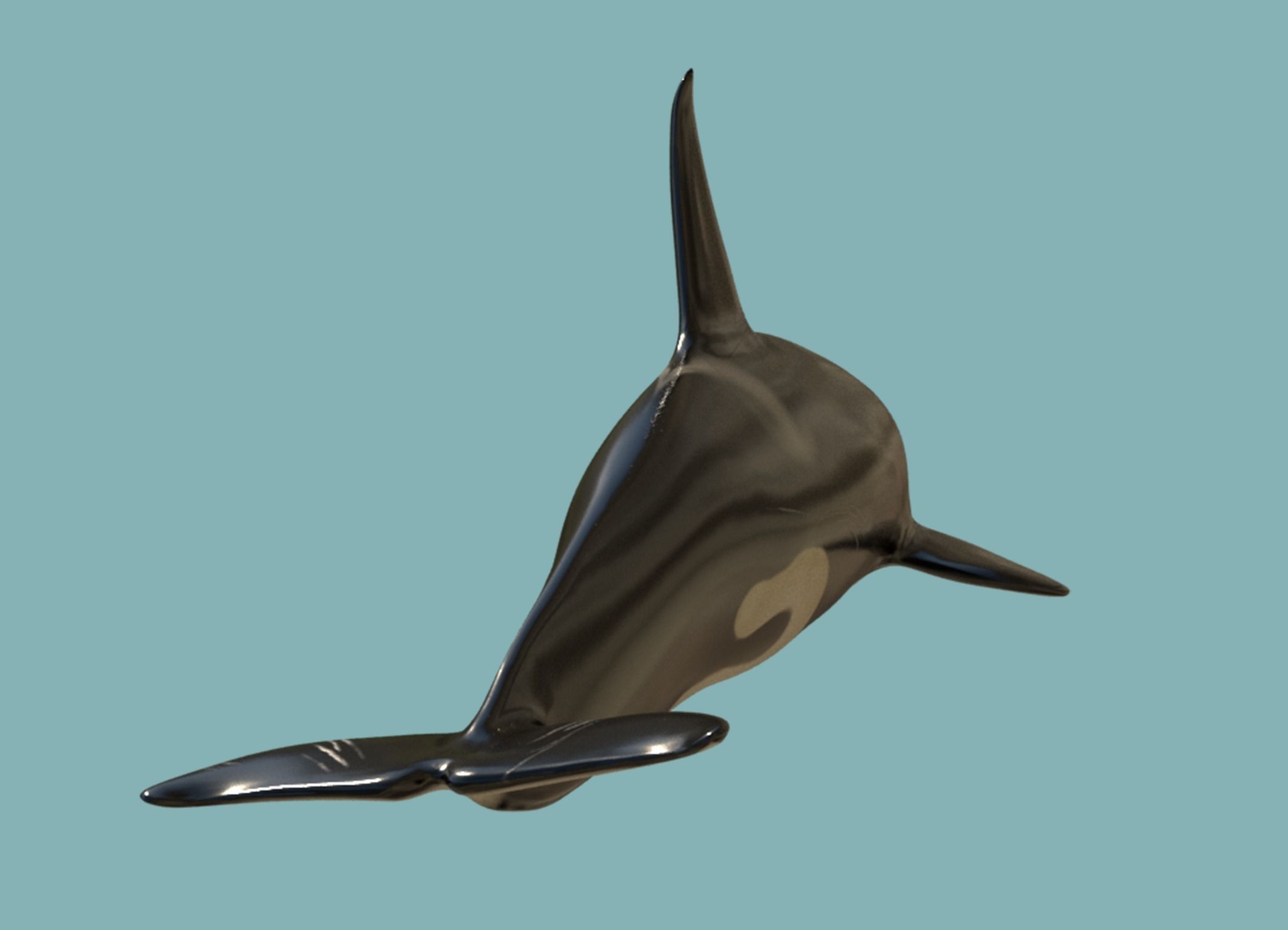 Killer whale Low-poly 3D model_7