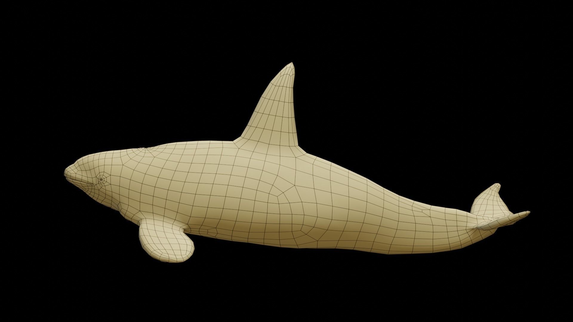 Killer whale Low-poly 3D model_14