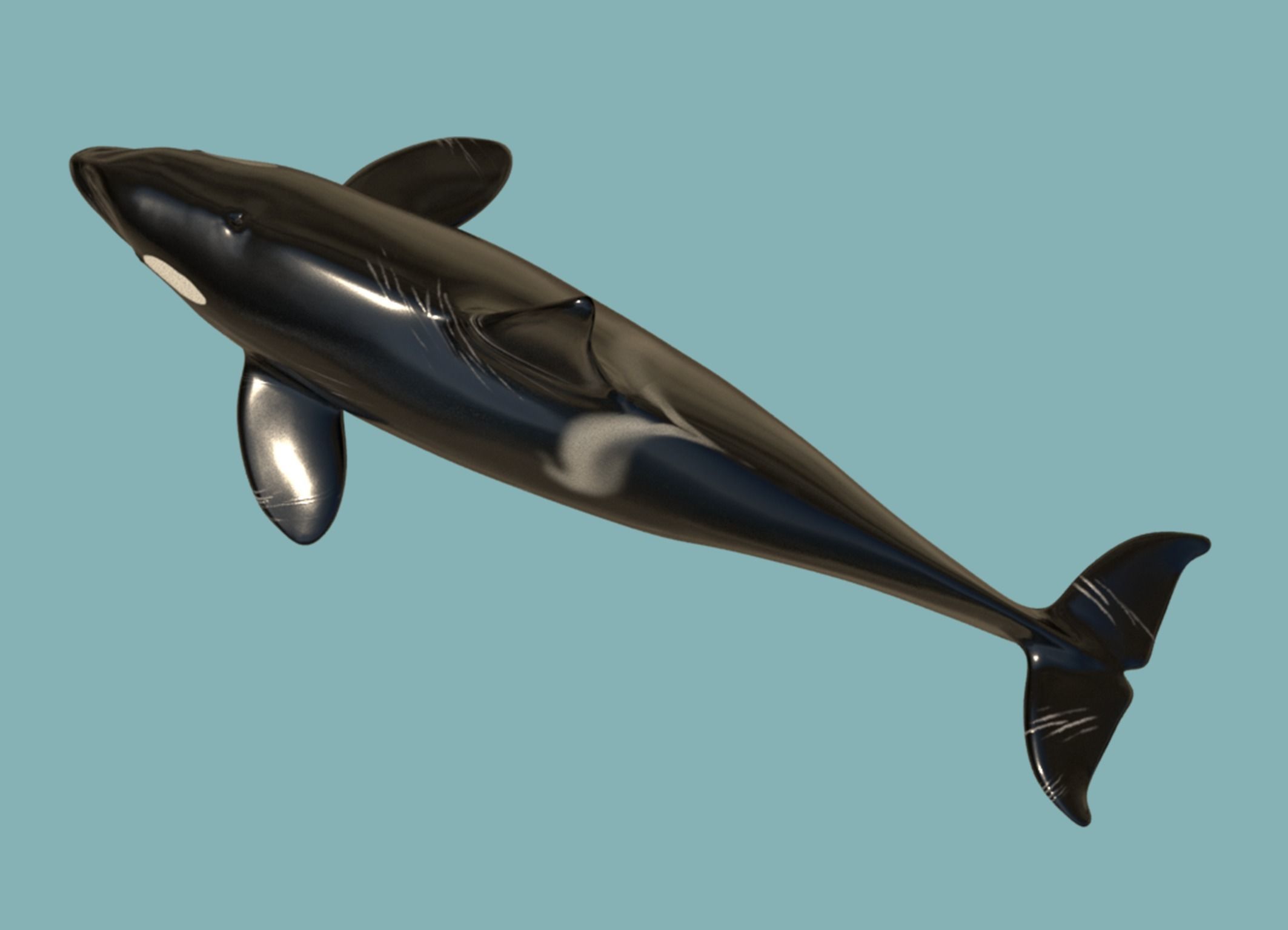 Killer whale Low-poly 3D model_6