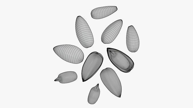 Seeds sunflower 03 3D model 6