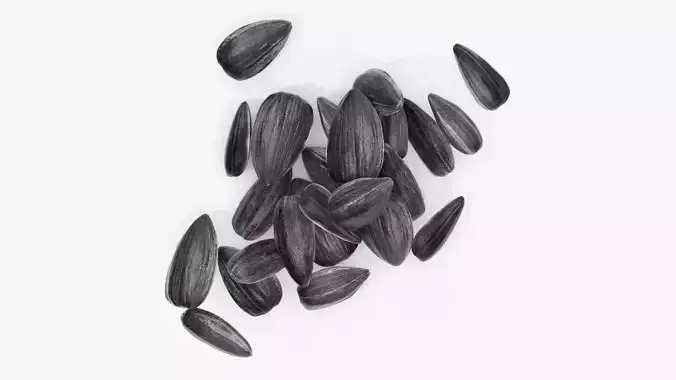 Seeds sunflower 06 3D model