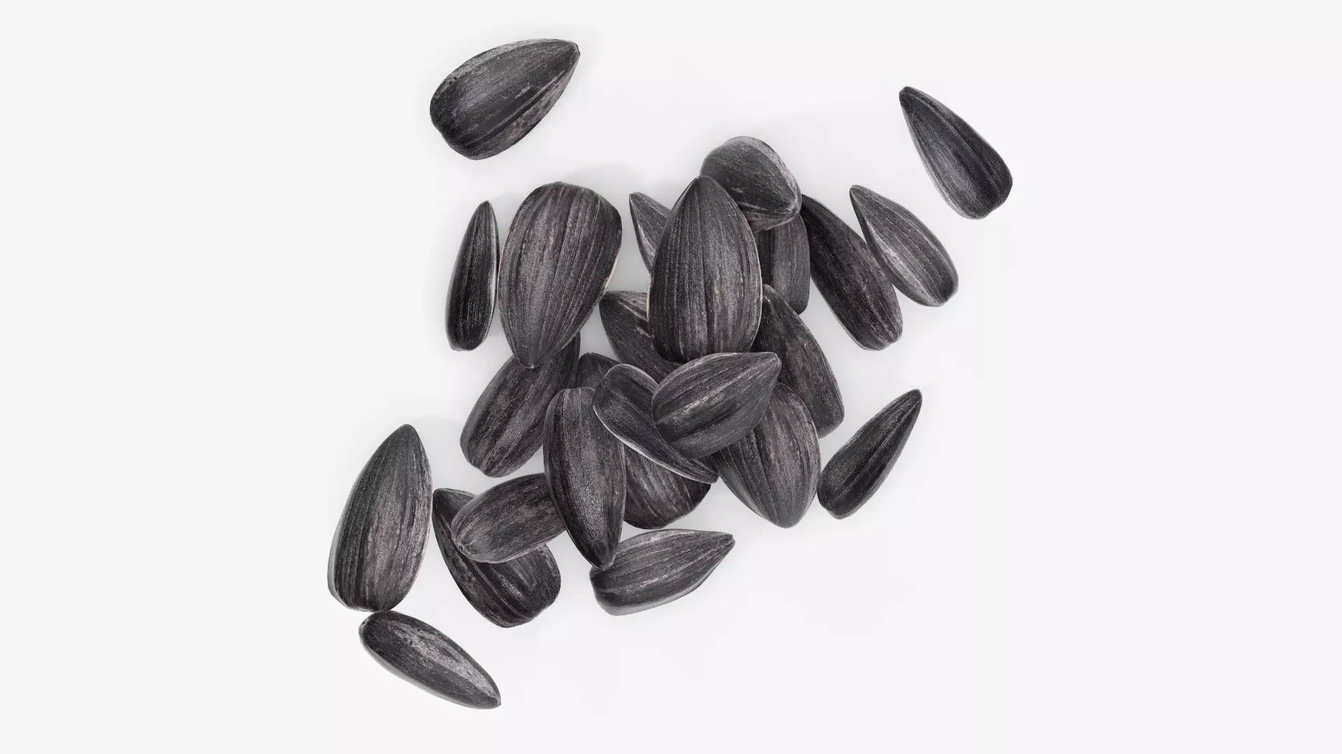 Seeds sunflower 06 3D model