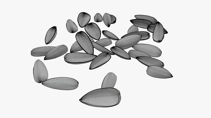 Seeds sunflower 08 3D model 7