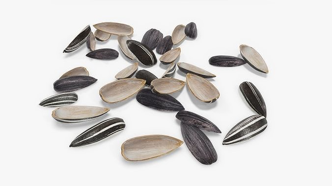 Seeds sunflower 08 3D model 3