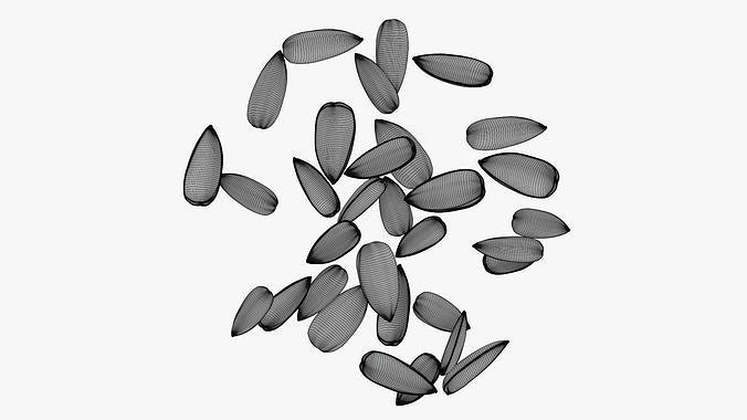 Seeds sunflower 08 3D model 6