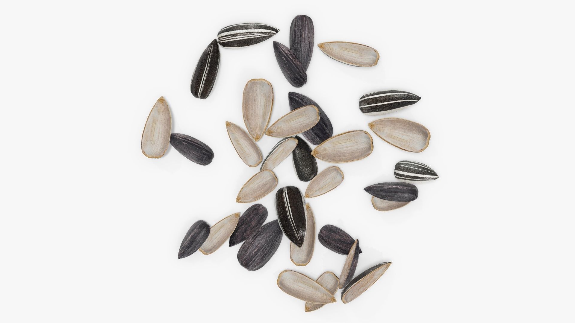 Seeds sunflower 08
