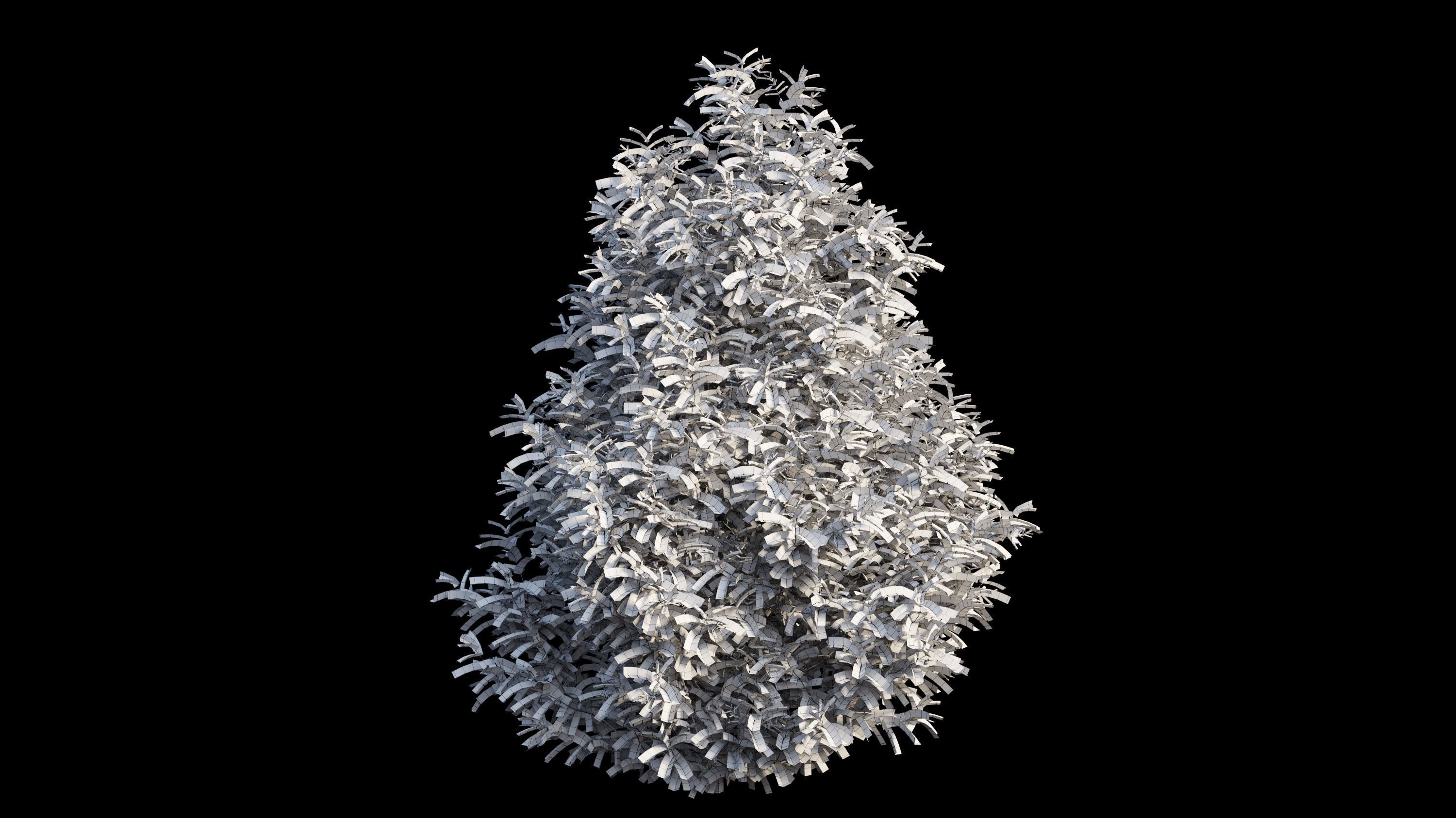 Syzygium campanulatum  3D model_14