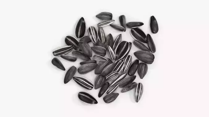 Seeds sunflower 09 3D model