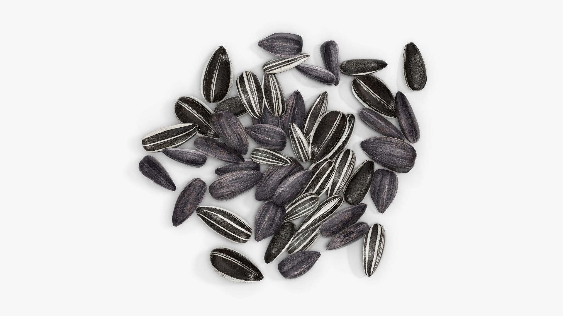 Seeds sunflower 09
