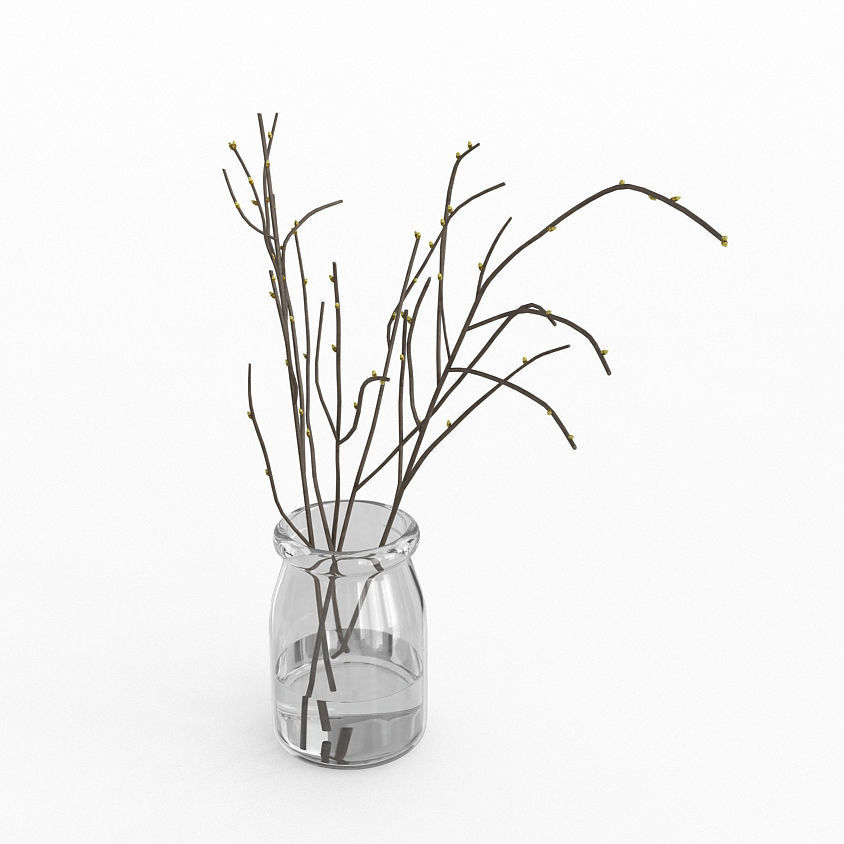 Branches in Glass Vase 3D model_3
