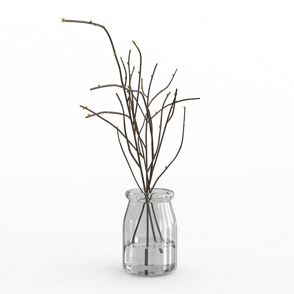 Branches in Glass Vase 3D model_1